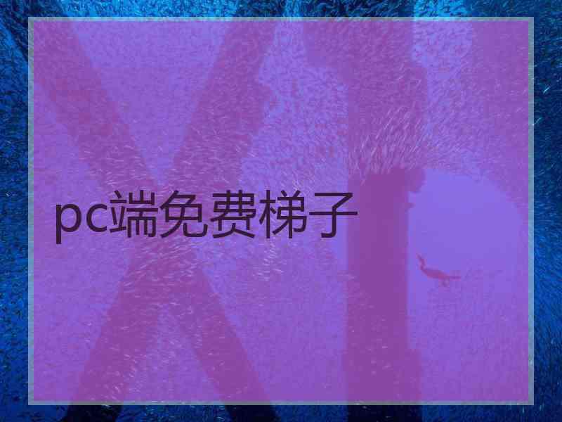 pc端免费梯子