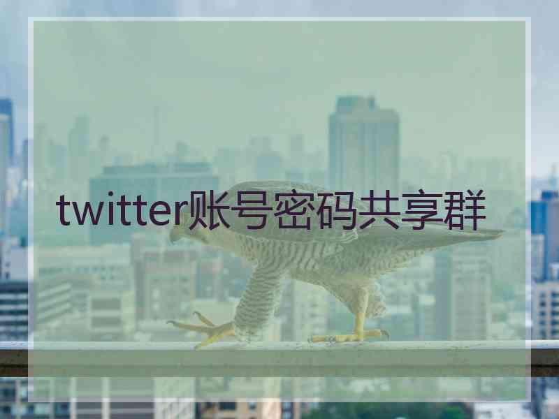 twitter账号密码共享群