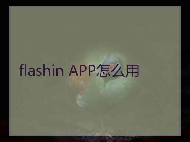 flashin APP怎么用