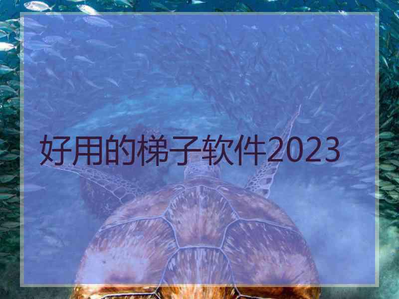 好用的梯子软件2023