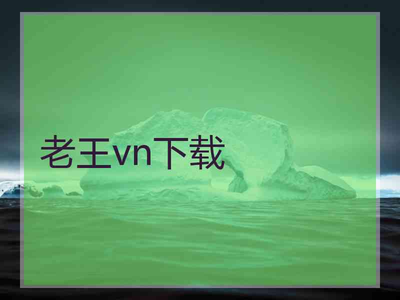 老王vn下载