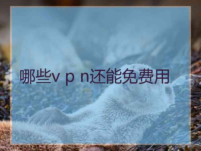 哪些v p n还能免费用