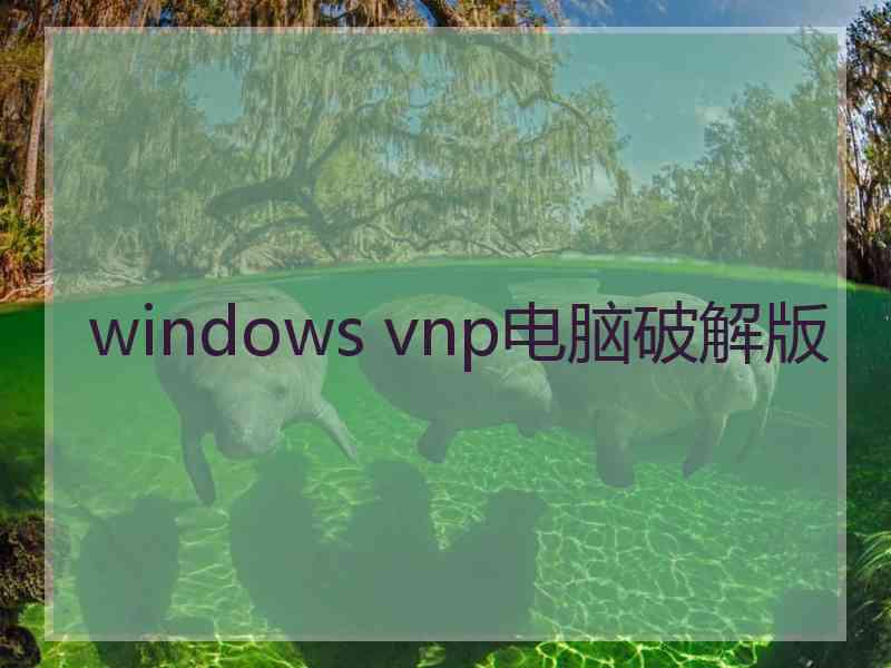 windows vnp电脑破解版