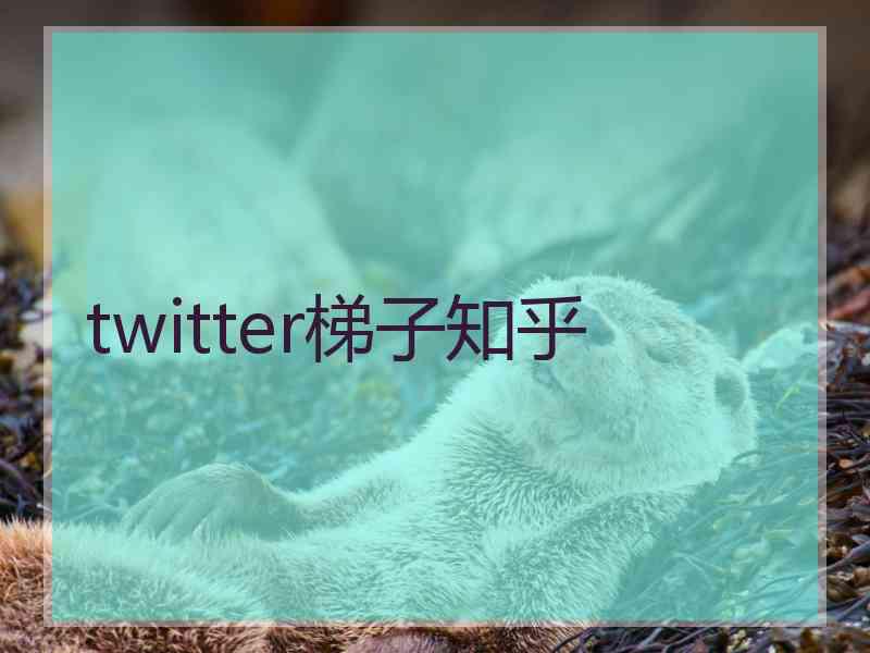 twitter梯子知乎