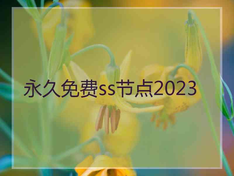 永久免费ss节点2023