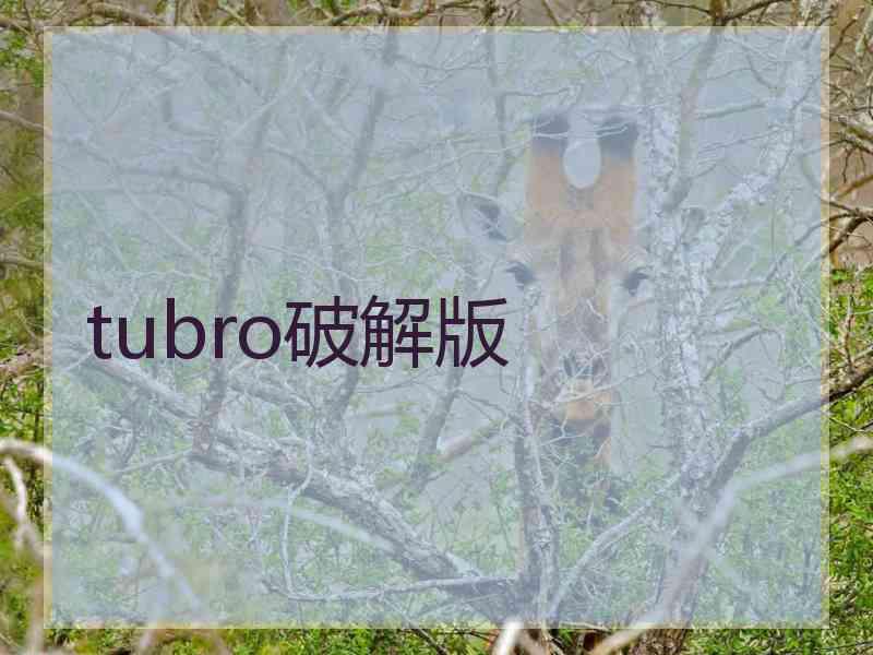 tubro破解版