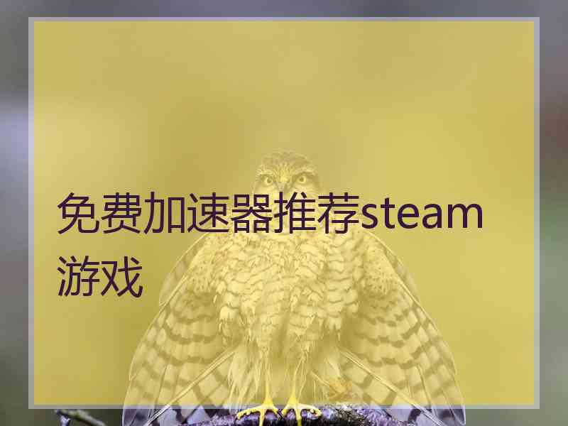 免费加速器推荐steam游戏