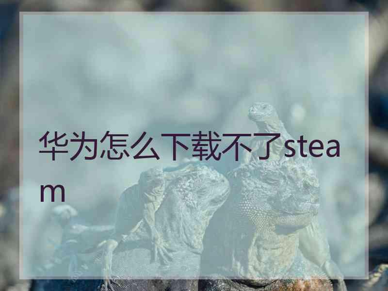 华为怎么下载不了steam