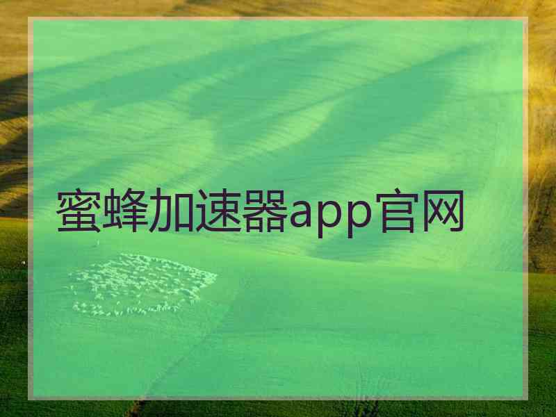 蜜蜂加速器app官网