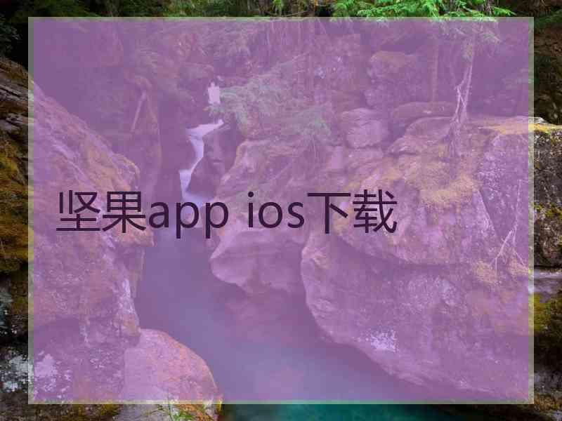 坚果app ios下载