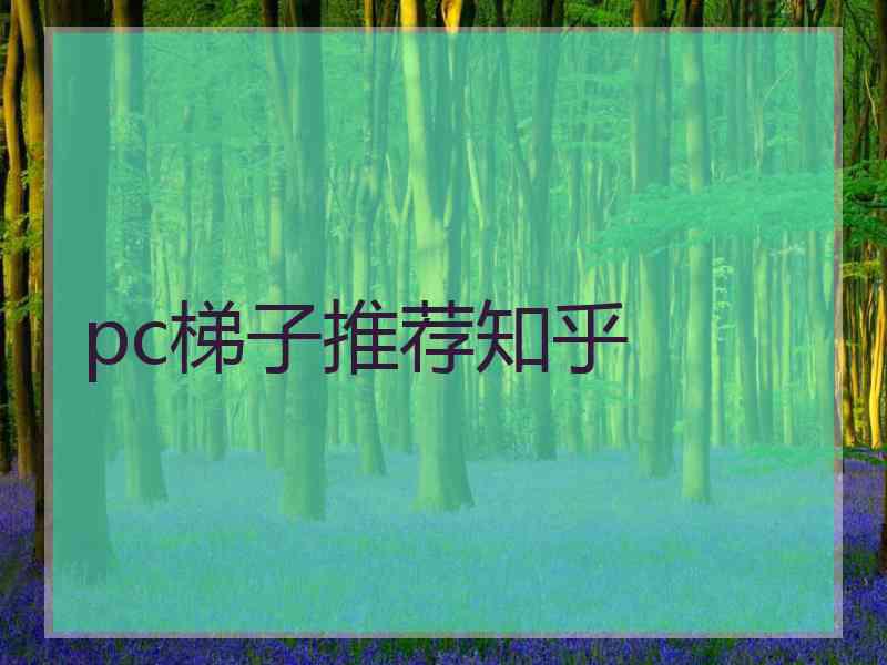 pc梯子推荐知乎