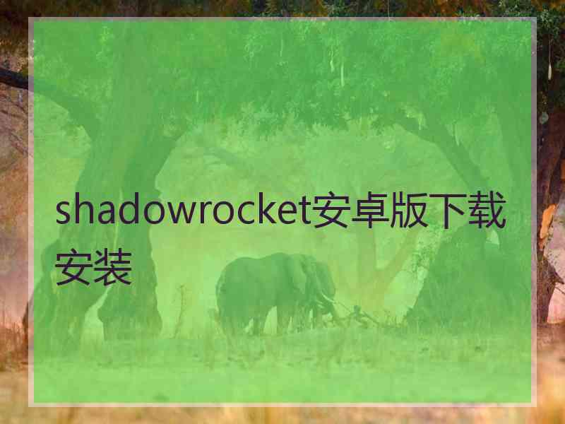 shadowrocket安卓版下载安装