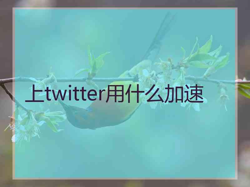 上twitter用什么加速