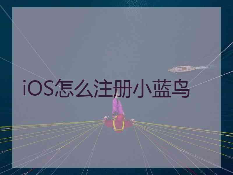 iOS怎么注册小蓝鸟