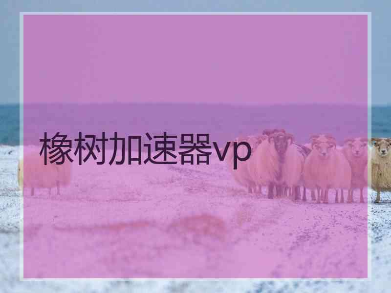 橡树加速器vp