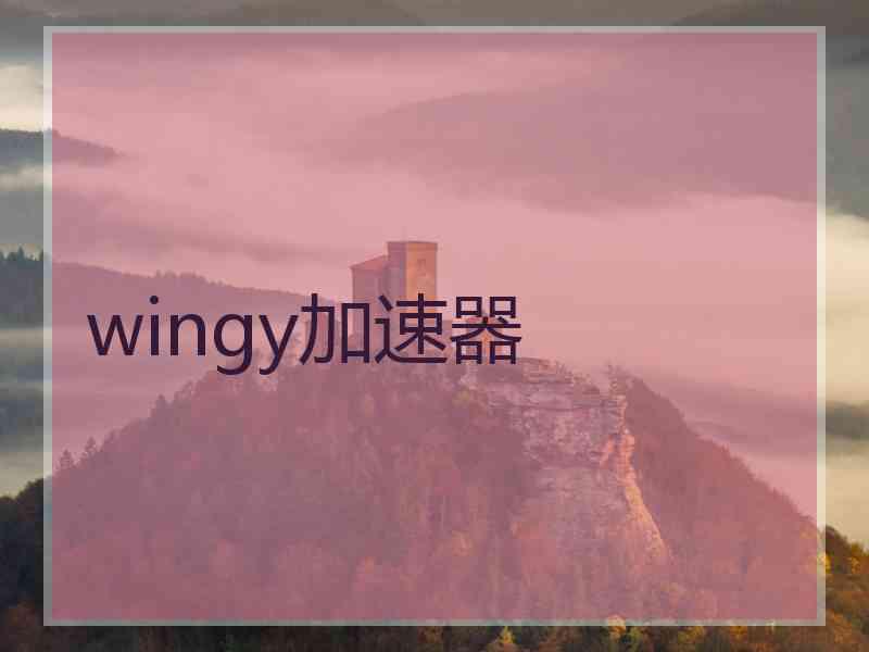 wingy加速器