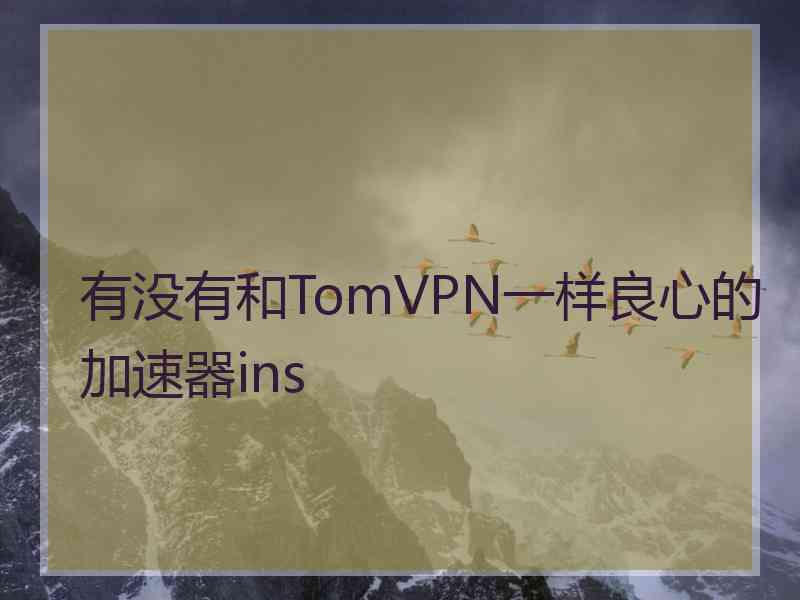 有没有和TomVPN一样良心的加速器ins