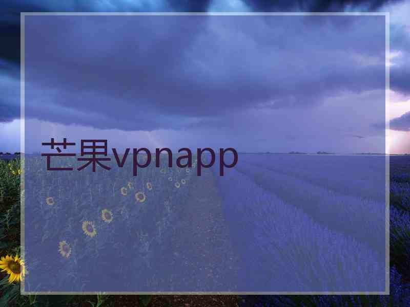 芒果vpnapp