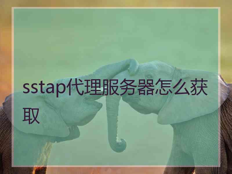 sstap代理服务器怎么获取