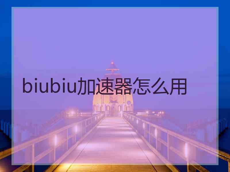 biubiu加速器怎么用