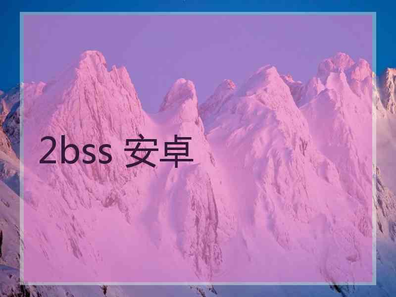 2bss 安卓