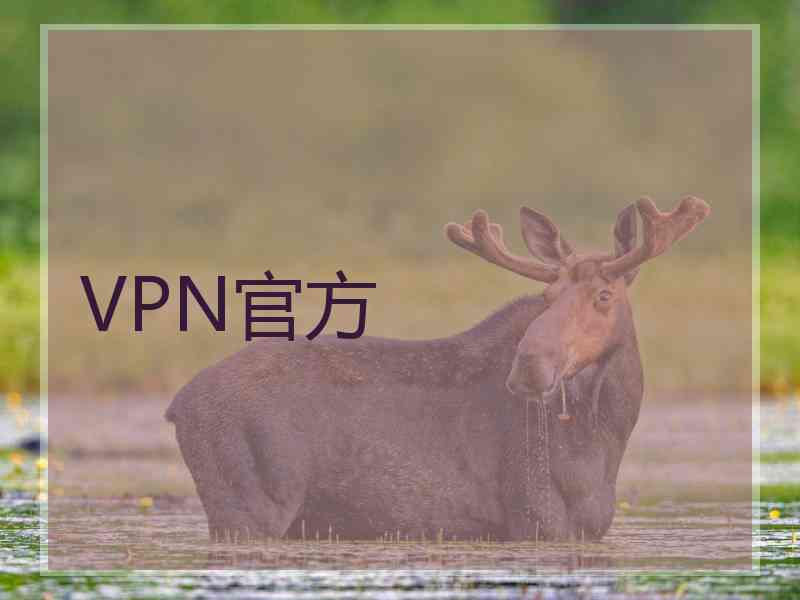 VPN官方