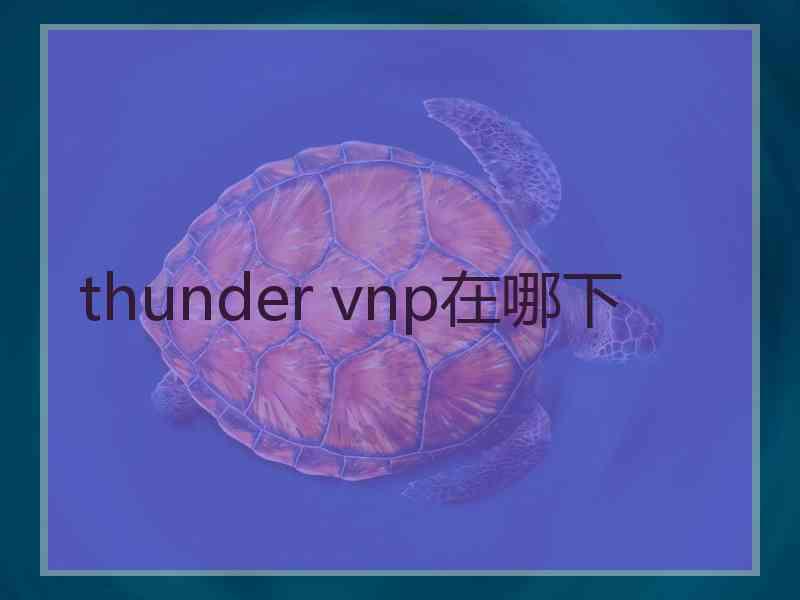 thunder vnp在哪下