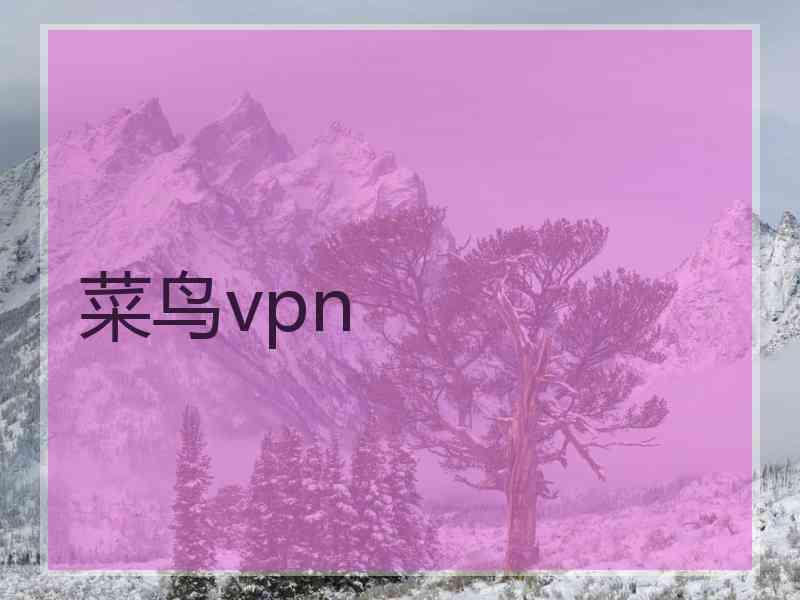 菜鸟vpn