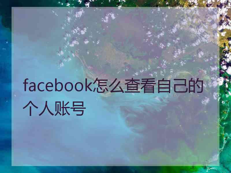 facebook怎么查看自己的个人账号