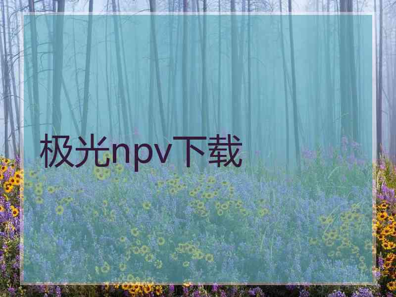 极光npv下载