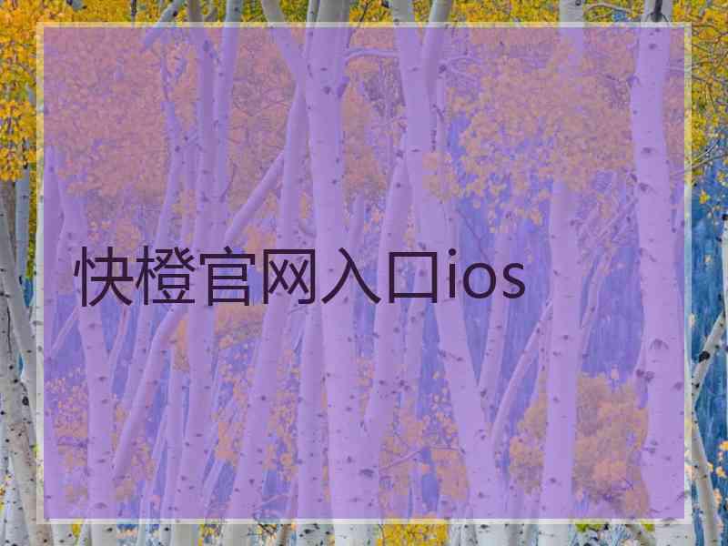 快橙官网入口ios