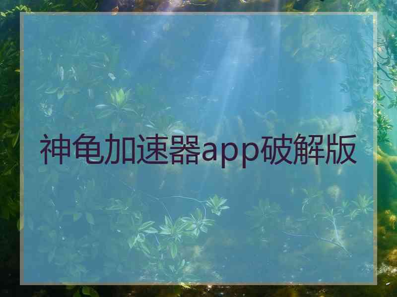 神龟加速器app破解版