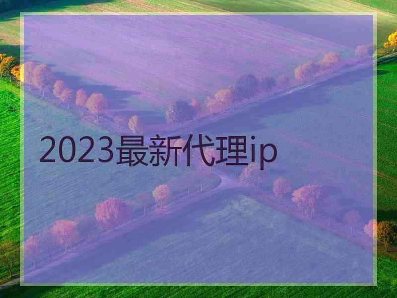 2023最新代理ip