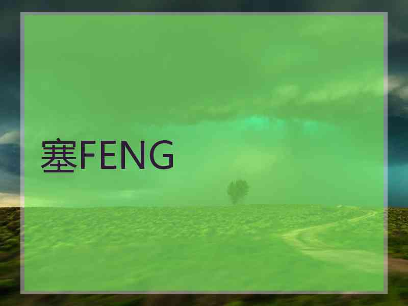 塞FENG