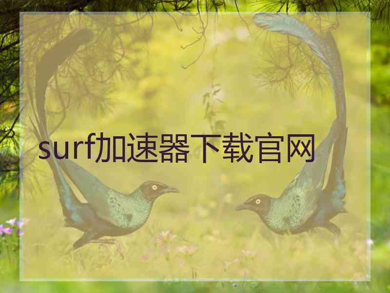 surf加速器下载官网