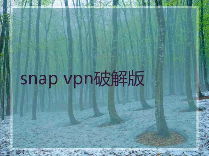 snap vpn破解版