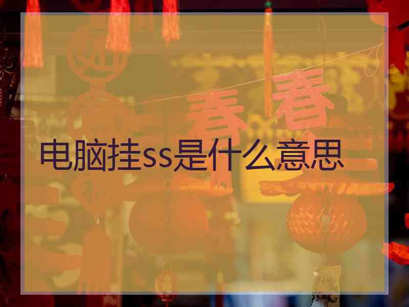 电脑挂ss是什么意思