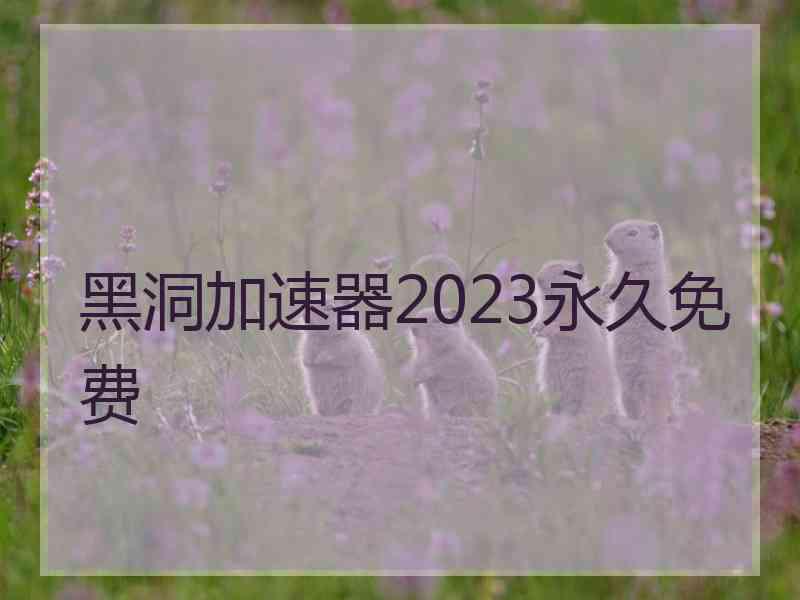 黑洞加速器2023永久免费