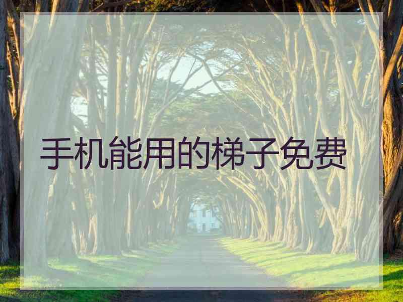 手机能用的梯子免费