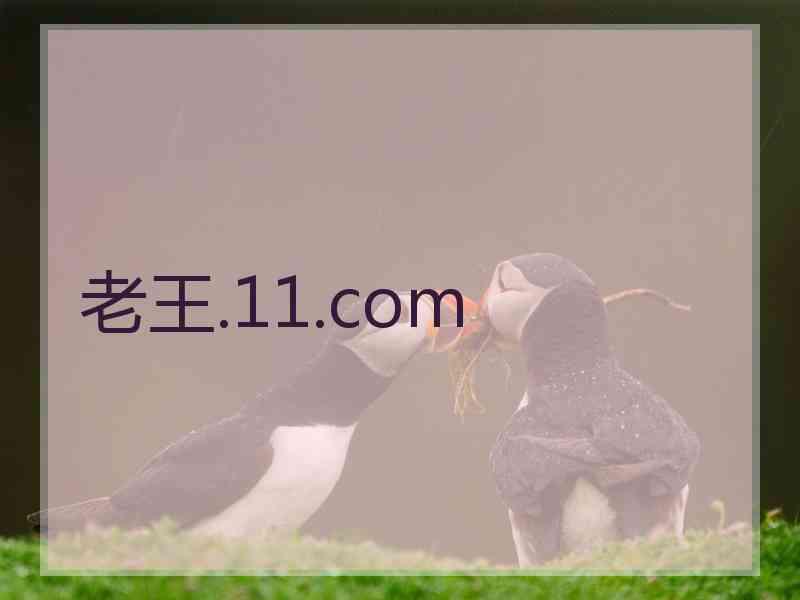 老王.11.com