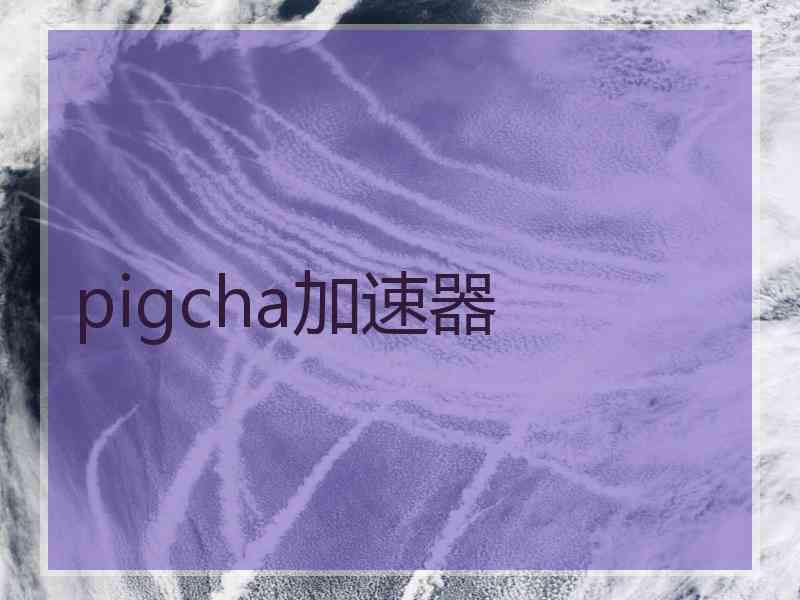 pigcha加速器